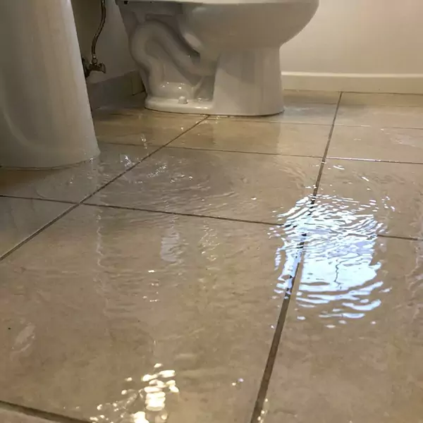Expert Flooded Bathroom Restoration in Hollywood, FL 