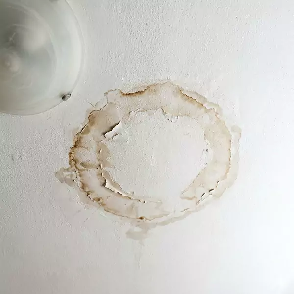Leaking Ceiling Repair in Hollywood, FL 