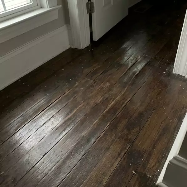 Wood Floor Water Damage Repair in Hollywood, FL