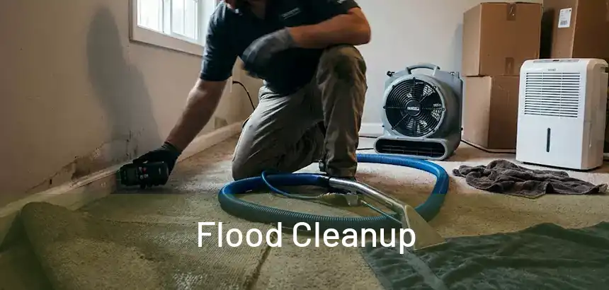 Flood Cleanup 