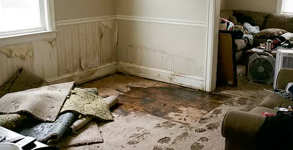 Why Choose Water Restoration Hollywood FL For Water Damage Restoration Services in Hollywood, FL?