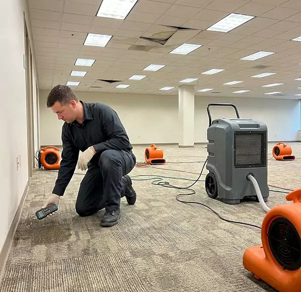 Why Businesses Choose Water Restoration Hollywood FL for Commercial Water Damage in Hollywood, FL?
