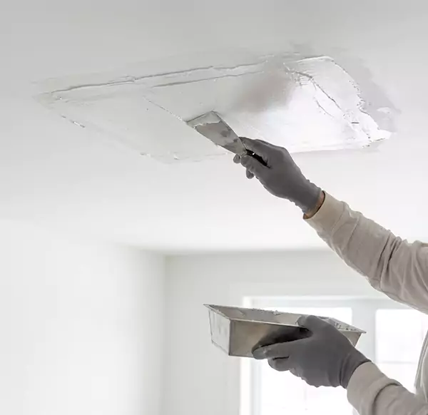 Why Homeowners and Businesses Choose Water Restoration Hollywood FL for Leaking Ceiling Repair in Hollywood, FL?