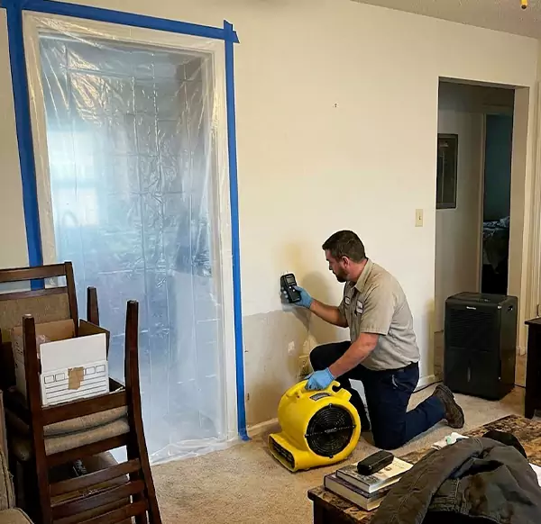 Why Homeowners & Businesses Choose Water Restoration Hollywood FL for Water Remediation in Hollywood, FL?